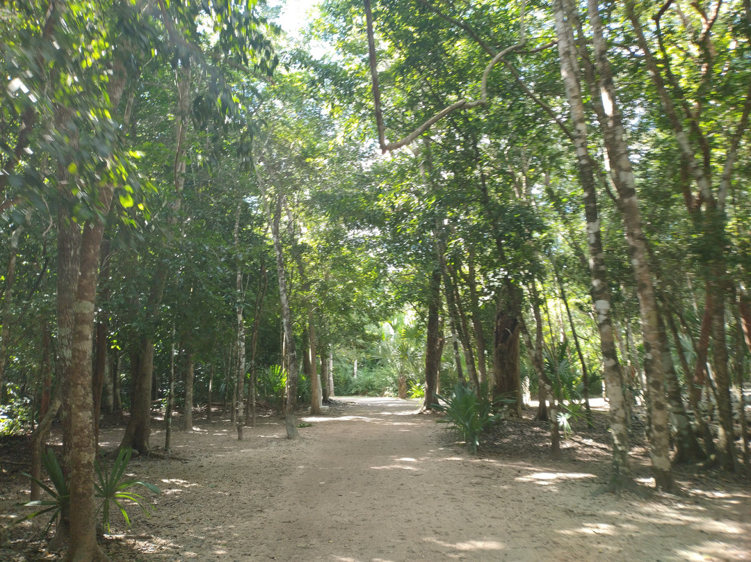 Zona Arqueológica de Muyil-Chunyaxche必去景点