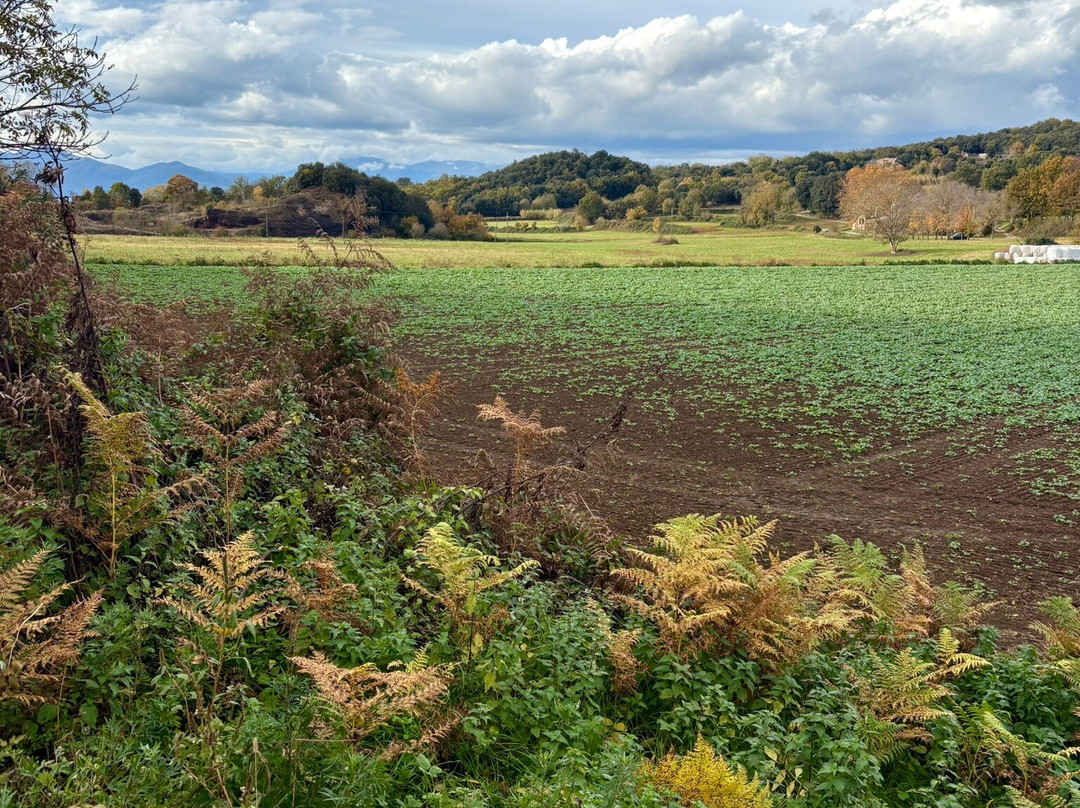 Yepalo-巴塞罗那必去景点