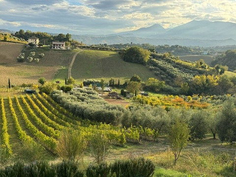 Be in Italy-罗马必去景点