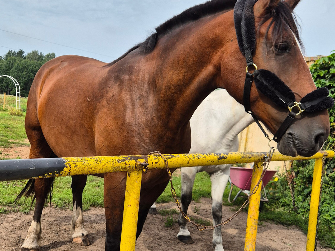 Darzini-Kekava必去景点