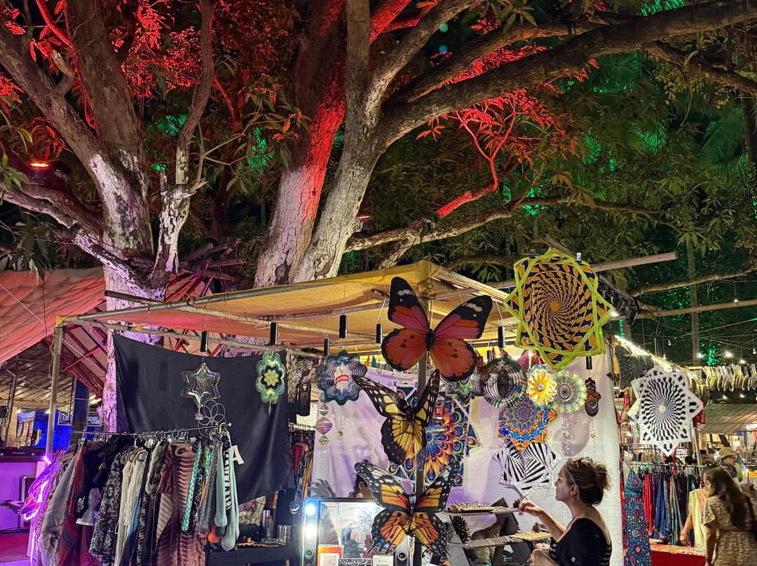 The Goa Collective Bazaar-Vagator必去景点