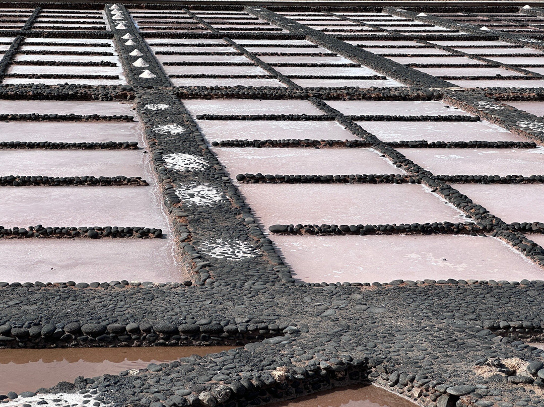 Museo de Las Salinas del Carmen-Antigua必去景点