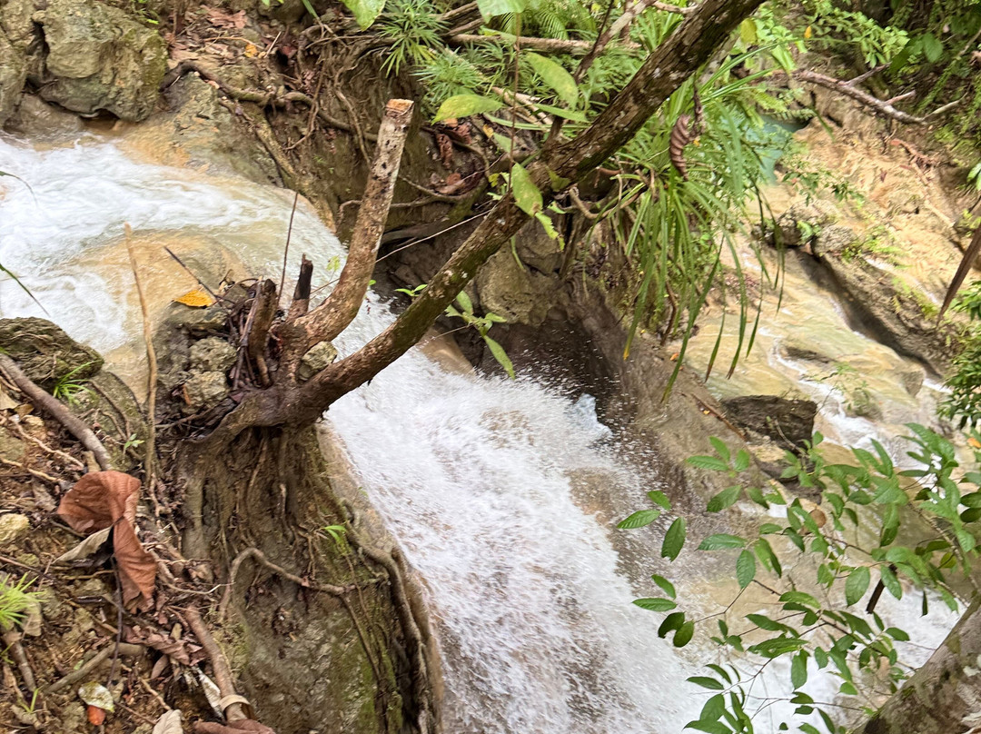 Eco Explorations-马尼拉必去景点