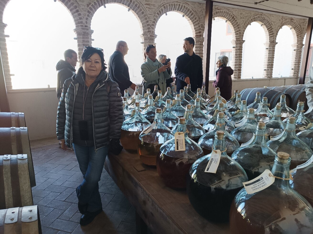 Casa Vermouth Padró-Brafim必去景点