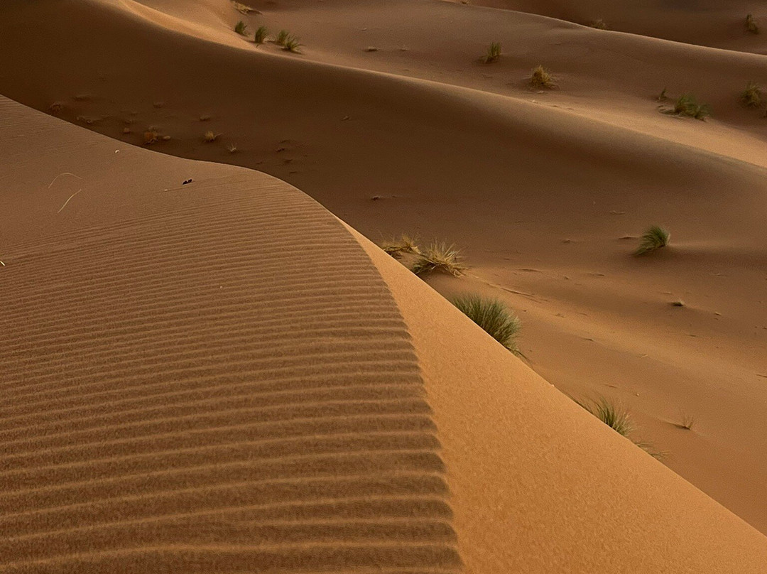 Voyage Désert Maroc-迈哈米德必去景点