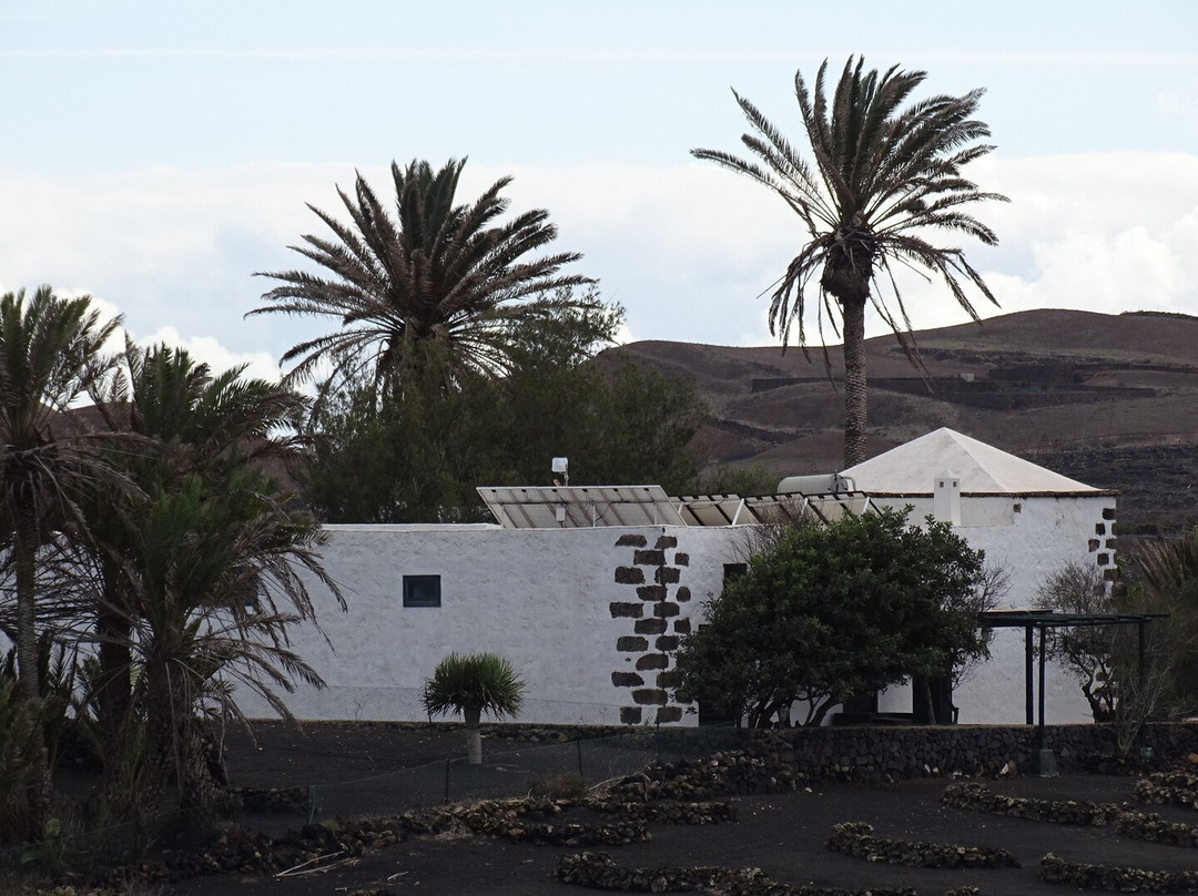 Finca Testeina - Bodegas Vega de Yuco-Masdache必去景点