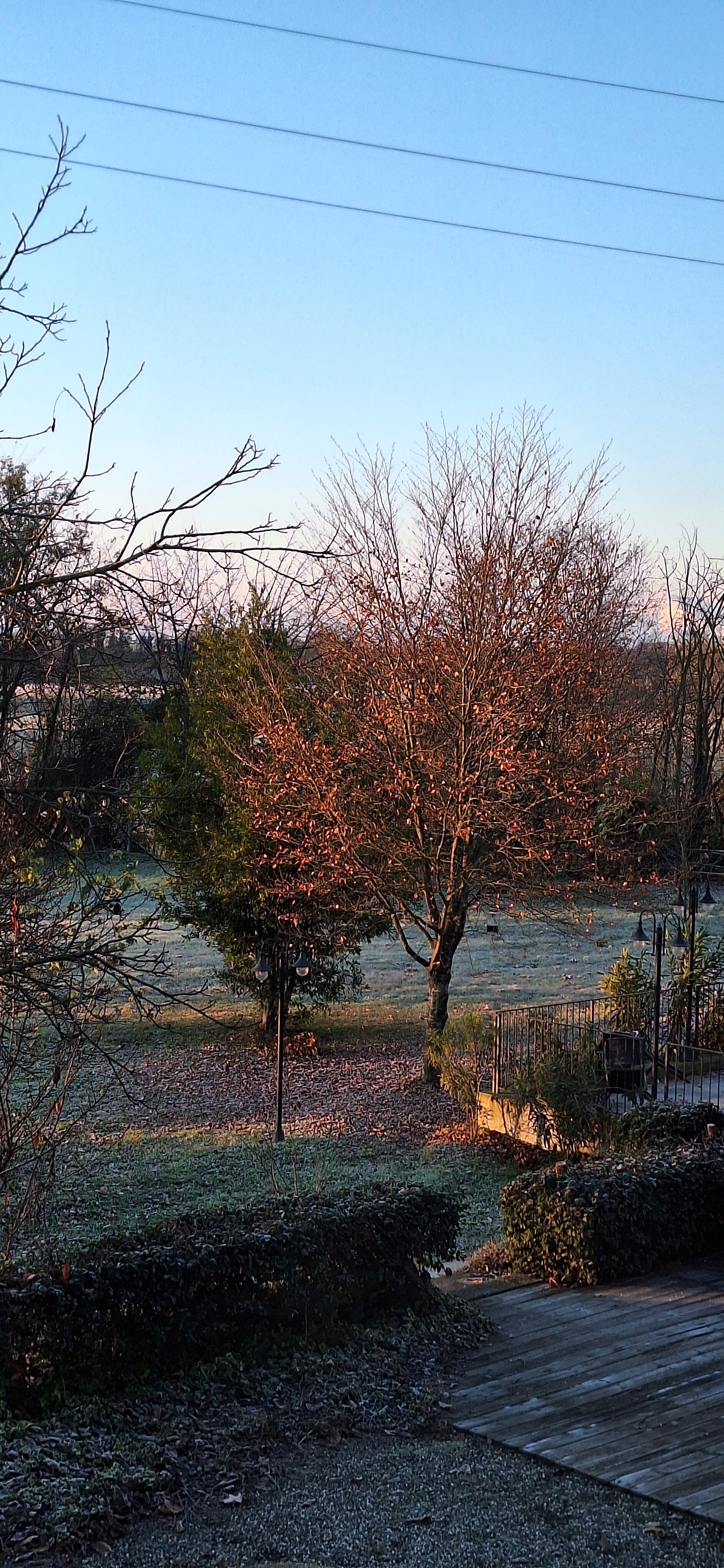 Agriturismo La Sforzata-酒店景观