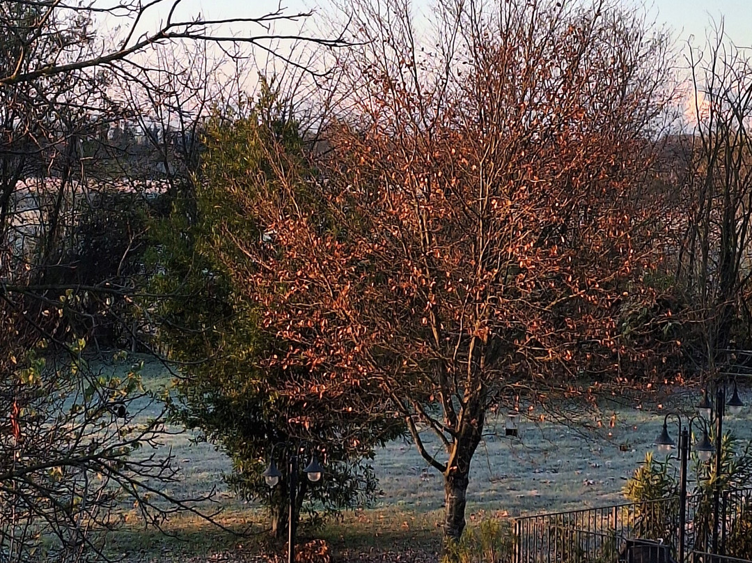 Agriturismo La Sforzata主图