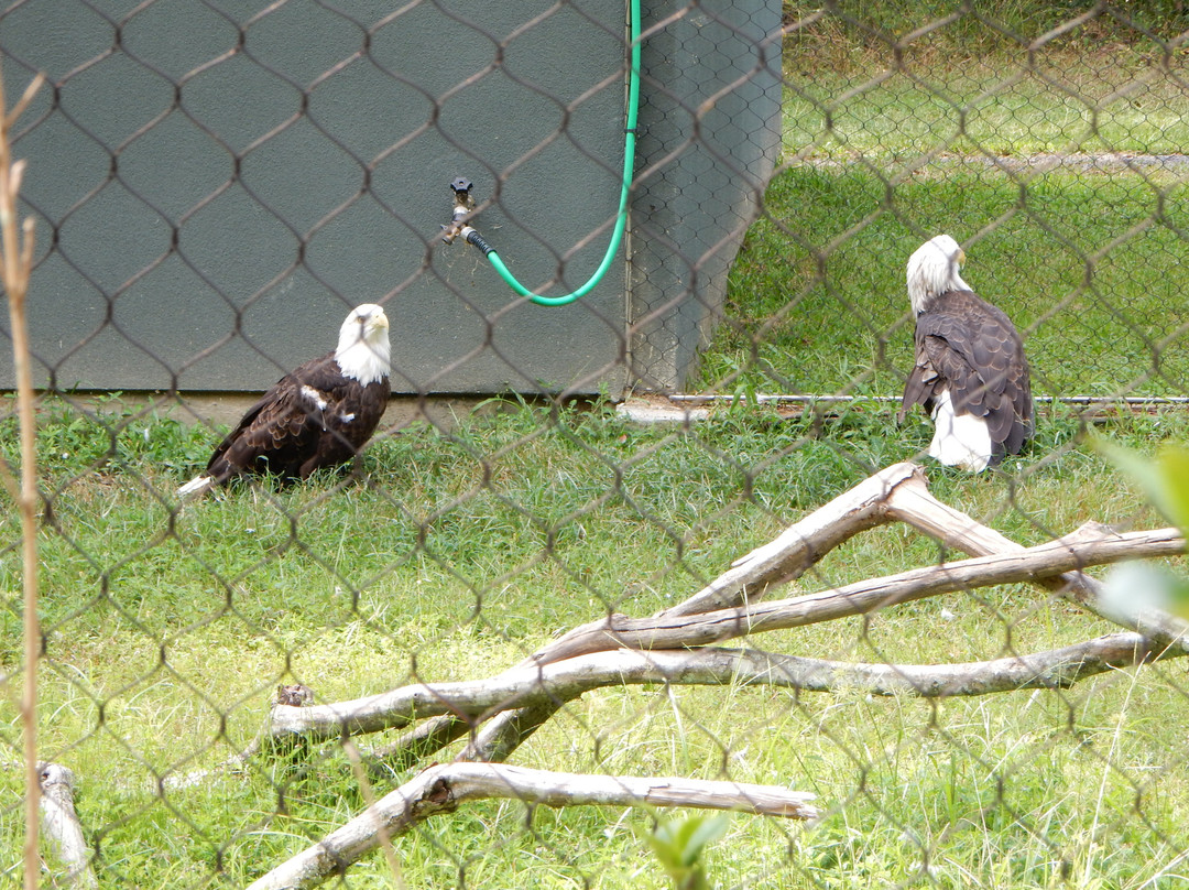Baton Rouge Zoo-巴吞鲁日必去景点