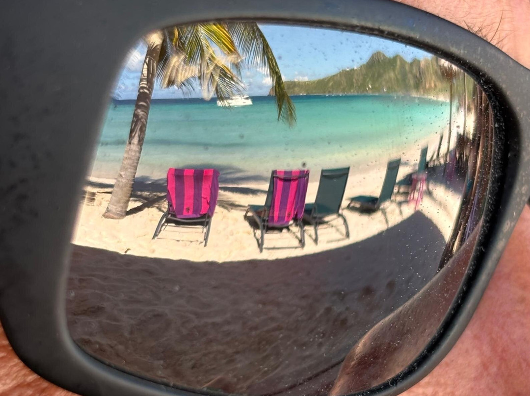 Alex Croisiere Grenadines et Caraibe-Le Marin必去景点