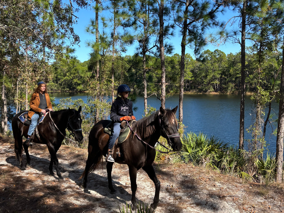 Florida Agricultural Museum-棕榈海岸必去景点