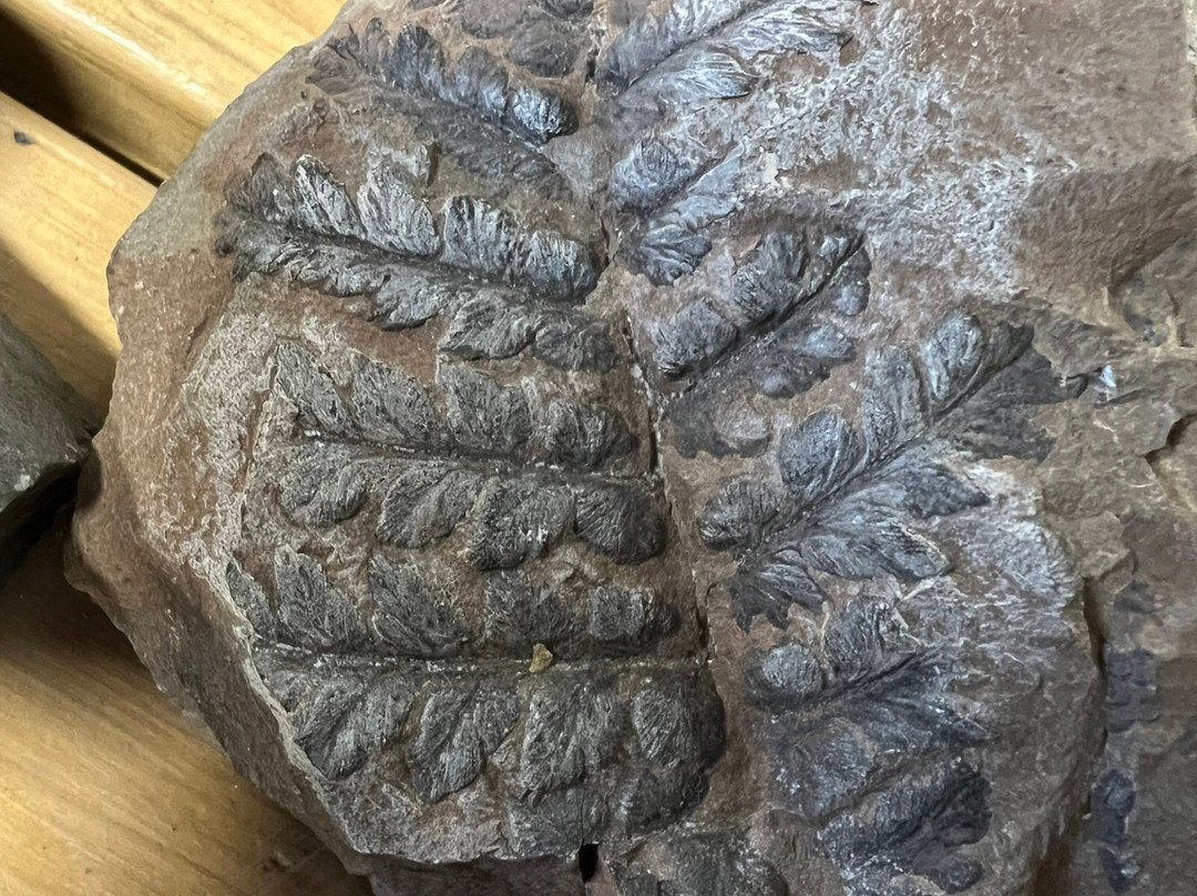 Stori Brymbo-雷克瑟姆必去景点