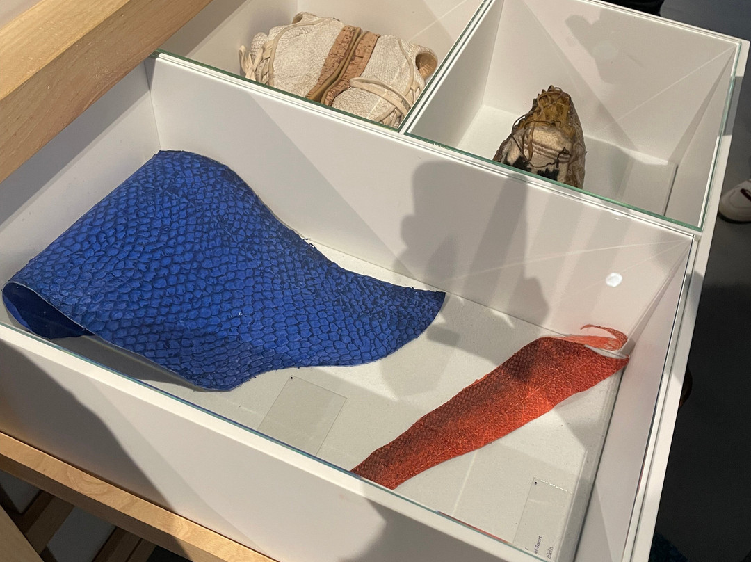 Schoenenkwartier-Waalwijk必去景点