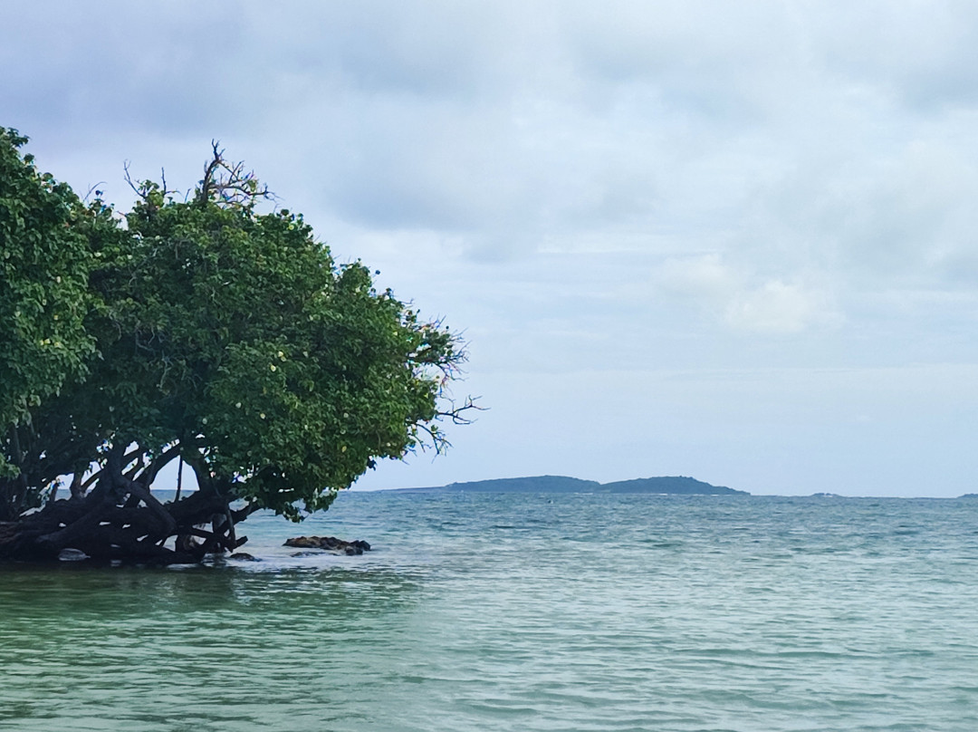 Balade du Soleil-Le Francois必去景点