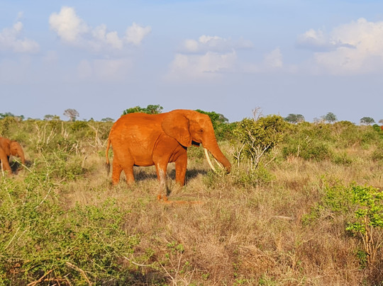Polenta Usei-瓦塔木必去景点