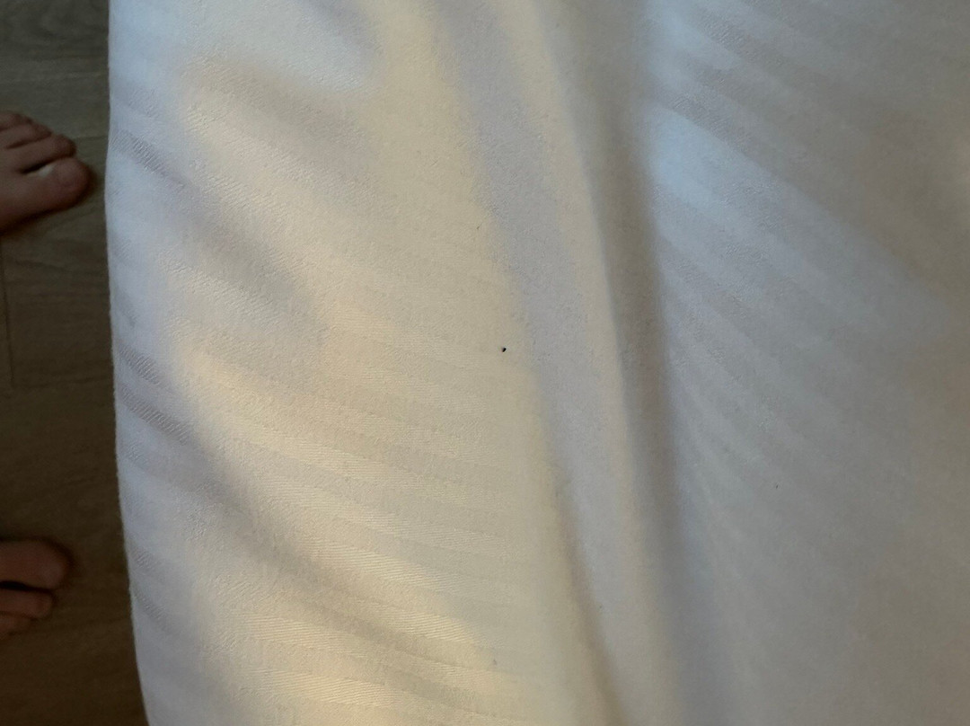 B&b Hotel Bergamo Executive主图