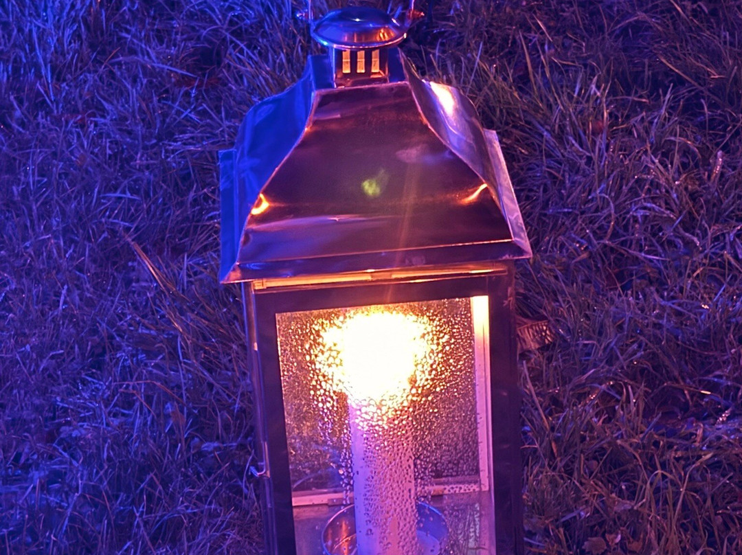 Bedgebury National Pinetum And Forest-Goudhurst必去景点