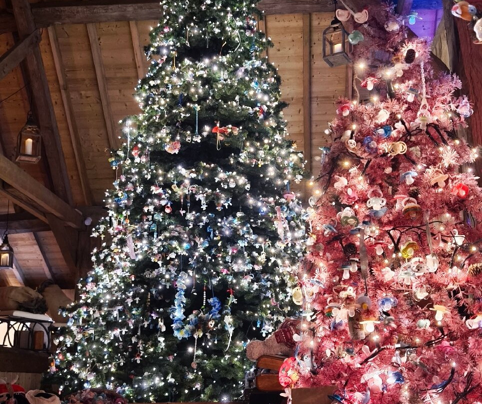 Le Grand Parc D'andilly Ete/hiver-Andilly必去景点