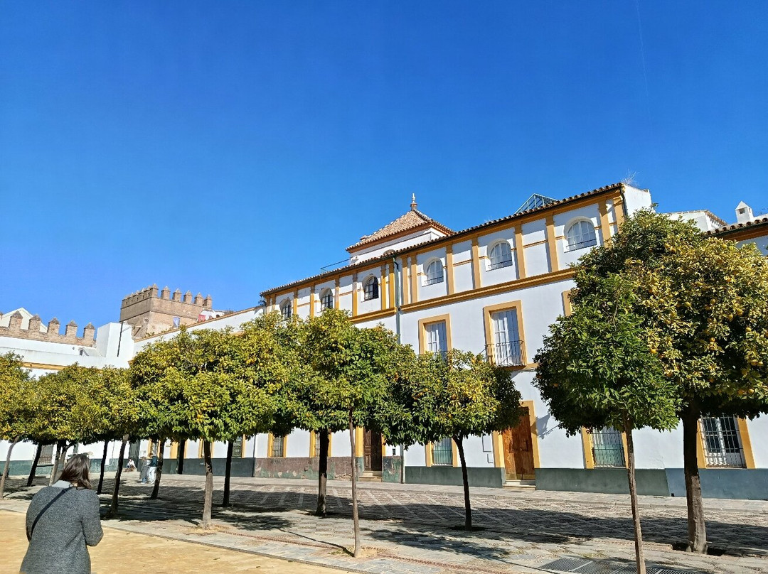 塞维利亚历史中心-塞维利亚必去景点