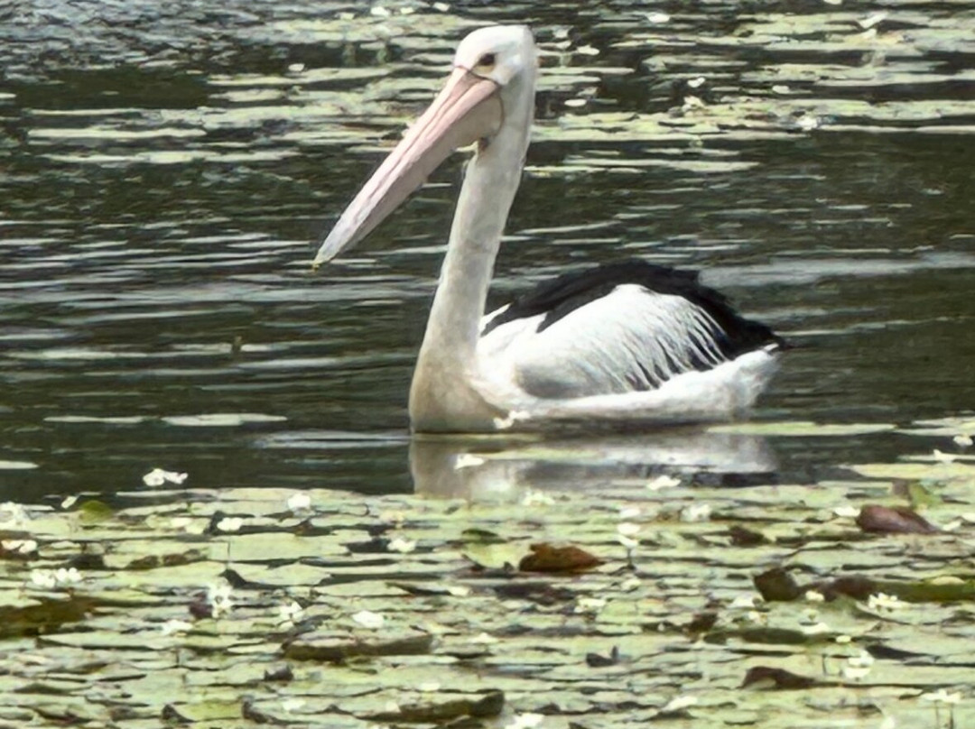 Tygum Lagoon and Park-Waterford West必去景点