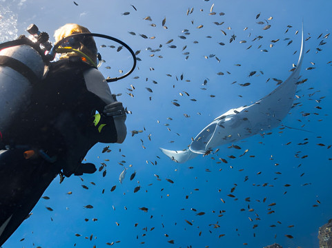 Dive Red Sea Hurghada