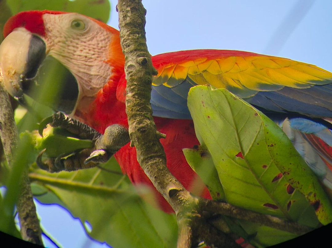 Picolina Tours-德雷克湾必去景点