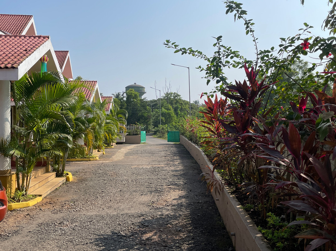 Treehouse Blue Hotel & Villas主图