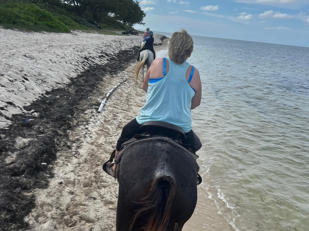 Cayman Horse Riding-西湾必去景点