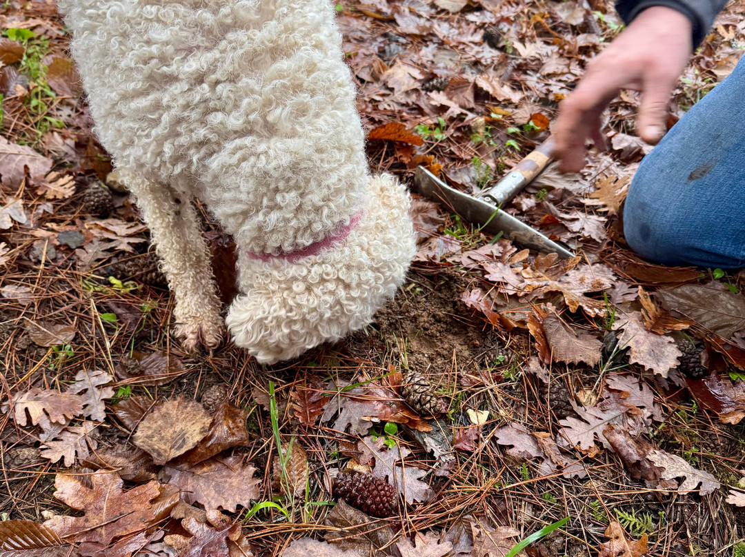 Domaine de la Combotte主图