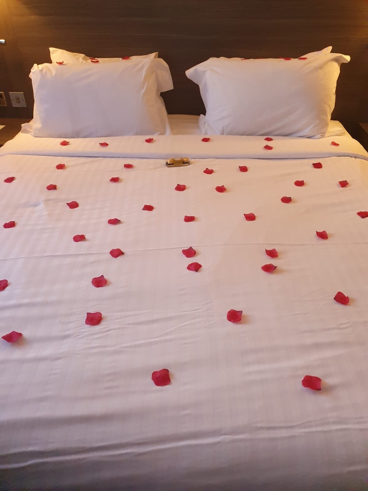 最佳西方布罗姆利宫-官方