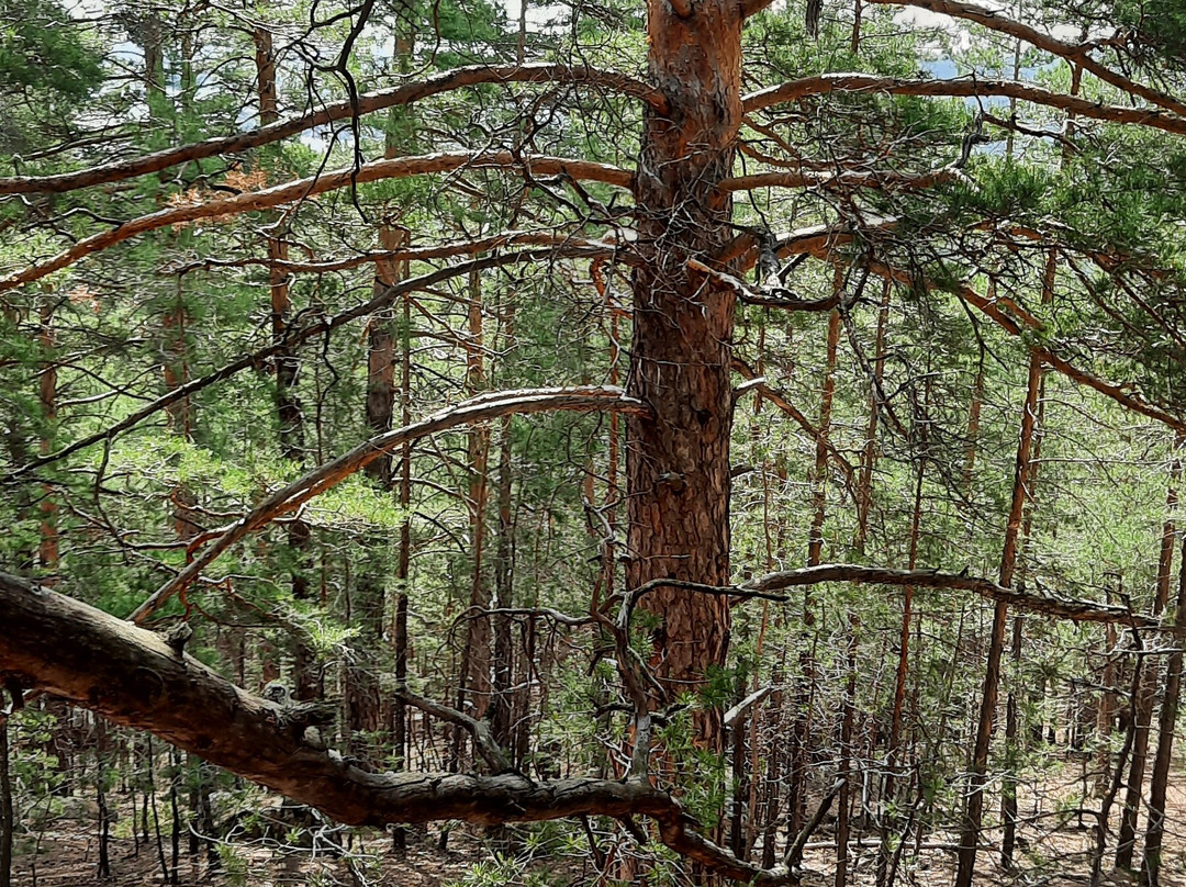 Victoria Cinema-摩德纳必去景点