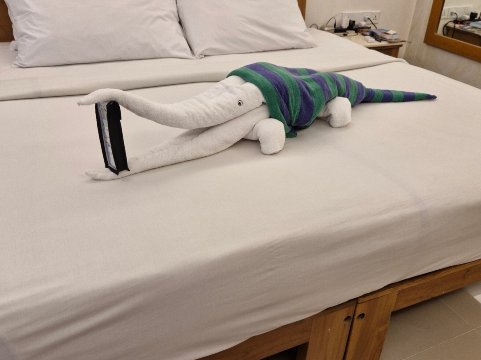 绿色花园酒店-官方