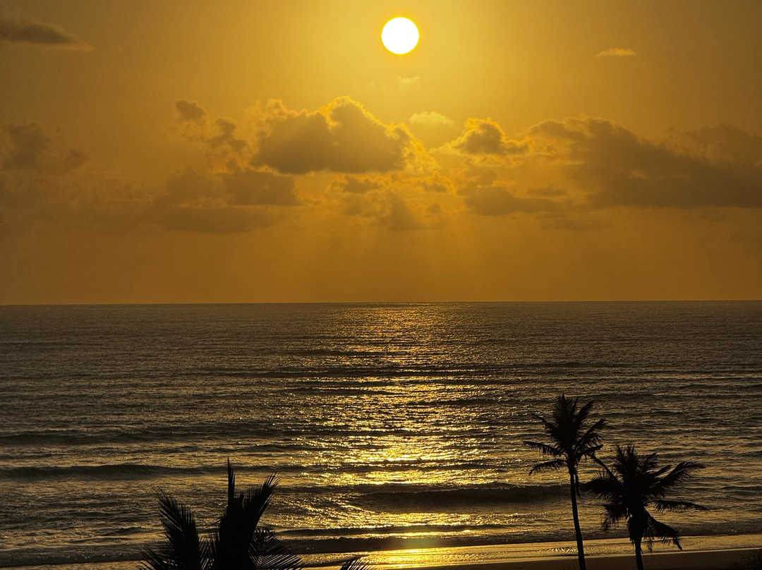 SAFARI, DRIVE & DIVE TOURS-Inhambane必去景点