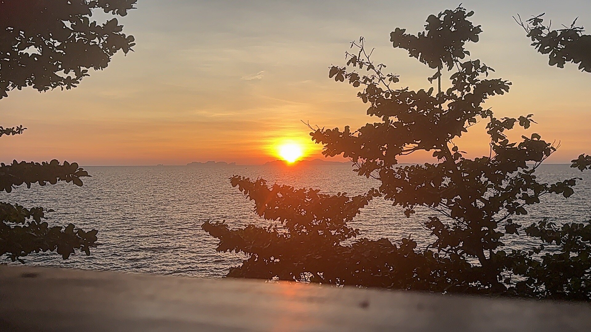 Jungle Hill Bungalow-官方