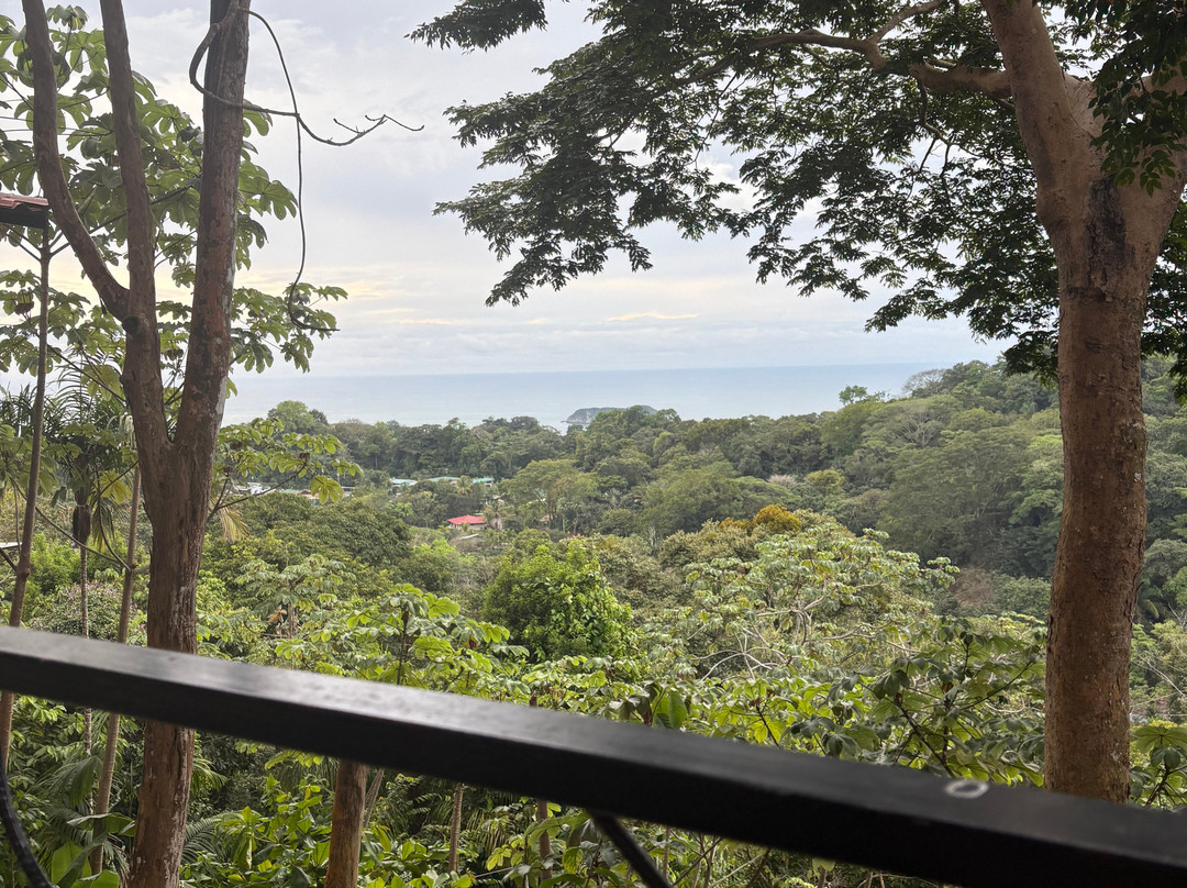 Mountain Top Park-哥斯达黎加安东尼奥国家公园必去景点