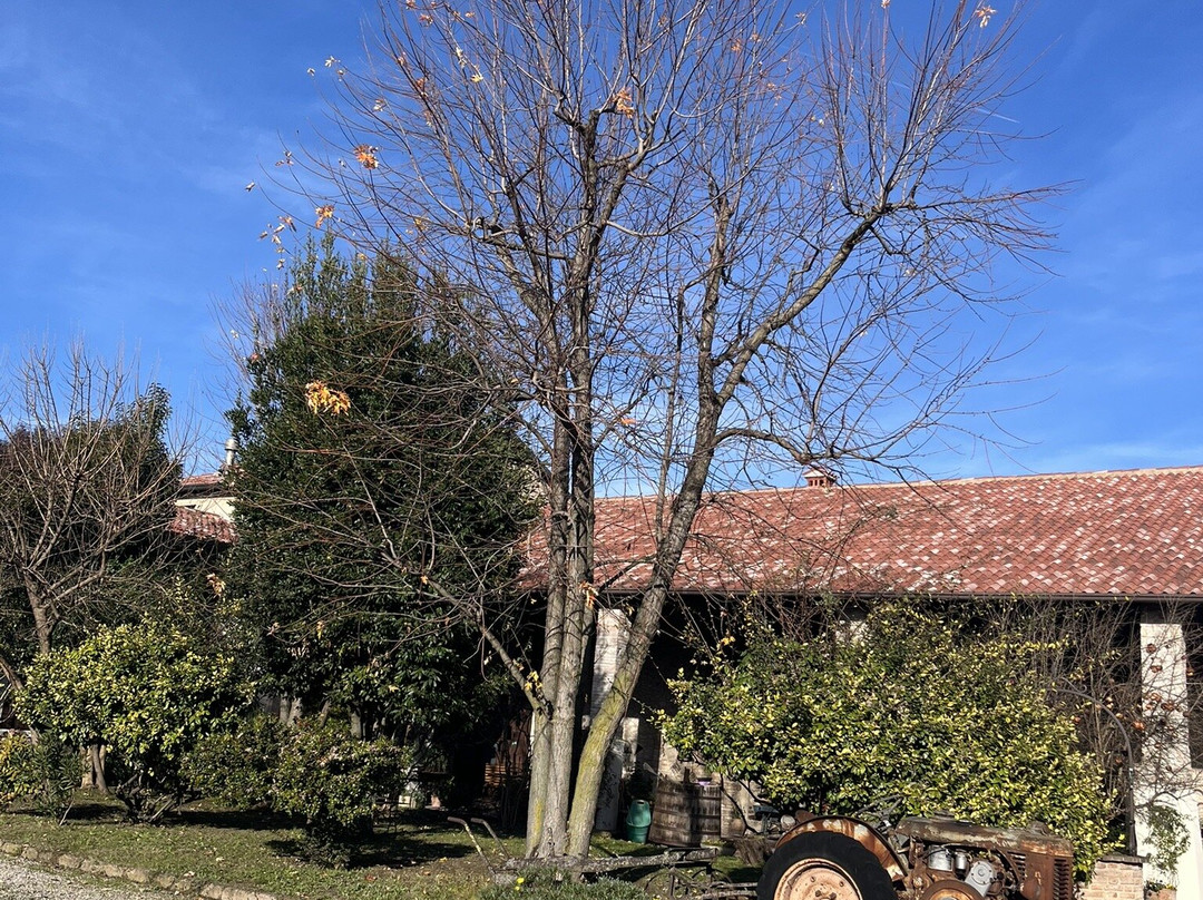 Tenuta Roveglia-Pozzolengo必去景点