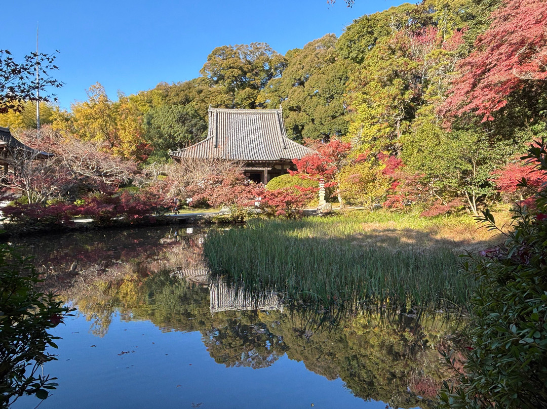 Chogaku-ji Temple-天理市必去景点
