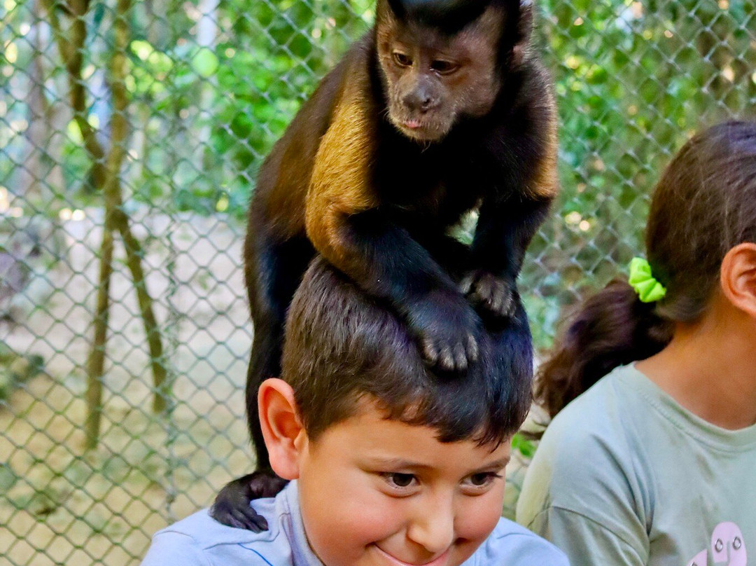 Akumal Monkey Sanctuary & Rescued Animals-艾库玛尔必去景点