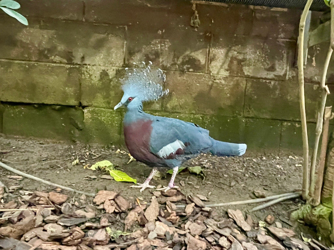 Tropical World-利兹必去景点