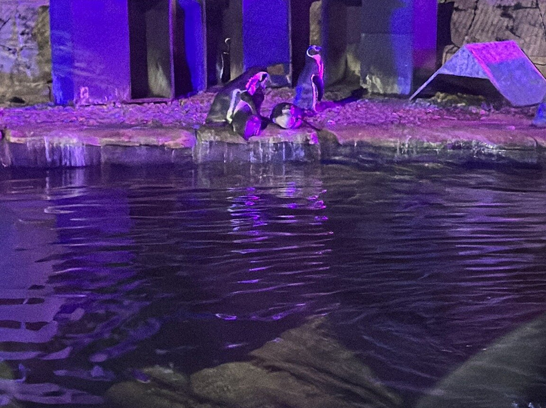 Five Sisters Zoo-West Calder必去景点