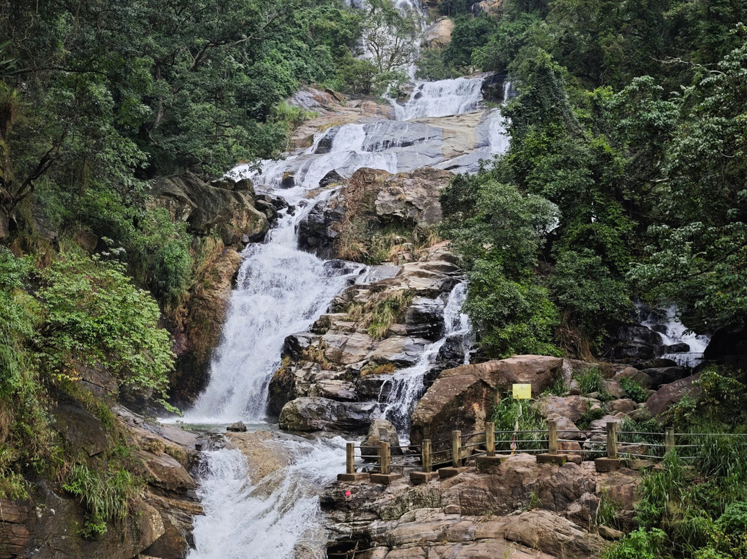 Sri Lankan Personal Drivers-科伦坡必去景点