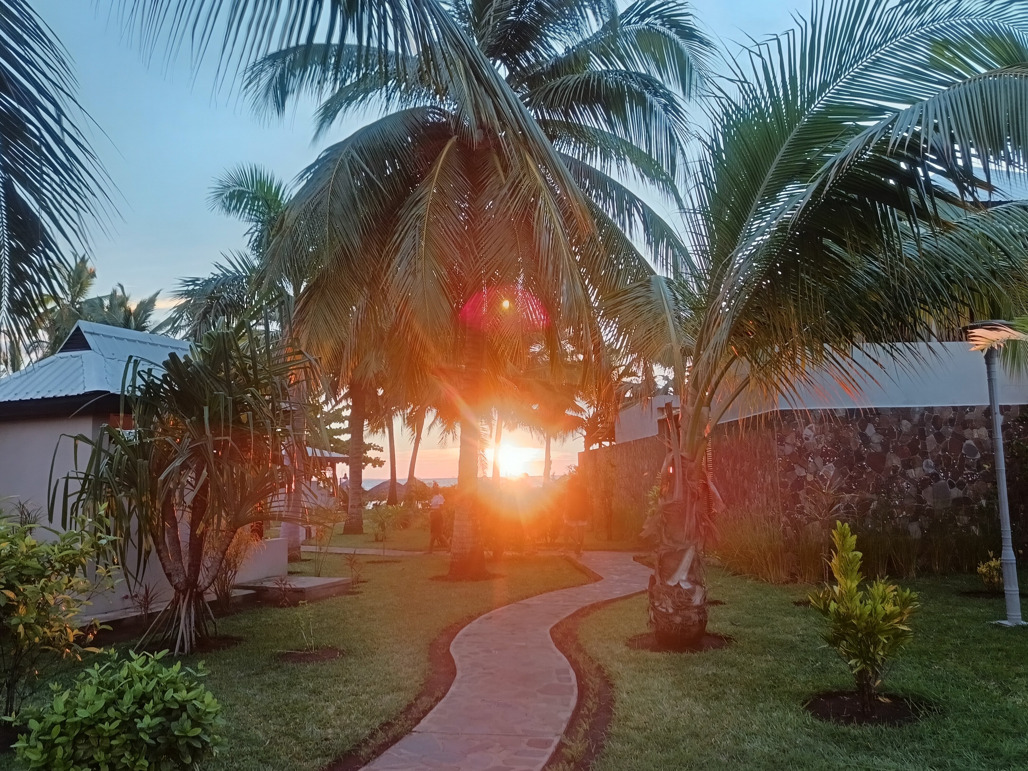 棕榈海滩度假村和水疗中心-官方