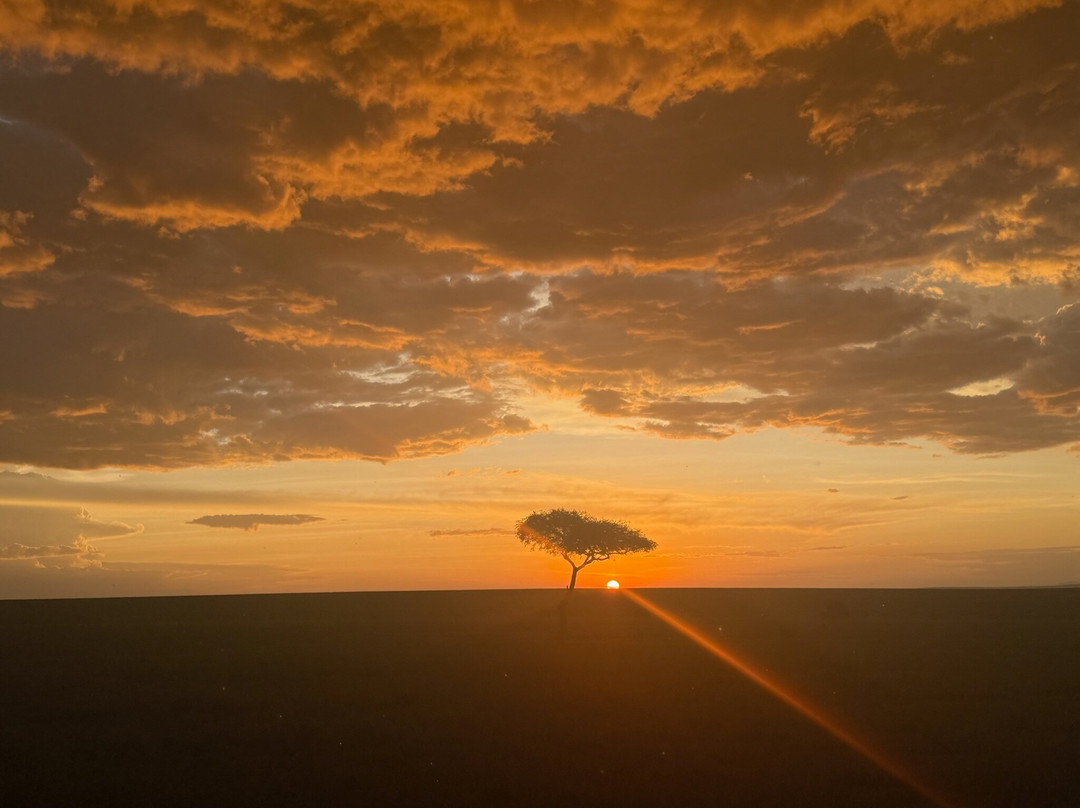 Kameraz of Afrika-内罗毕必去景点