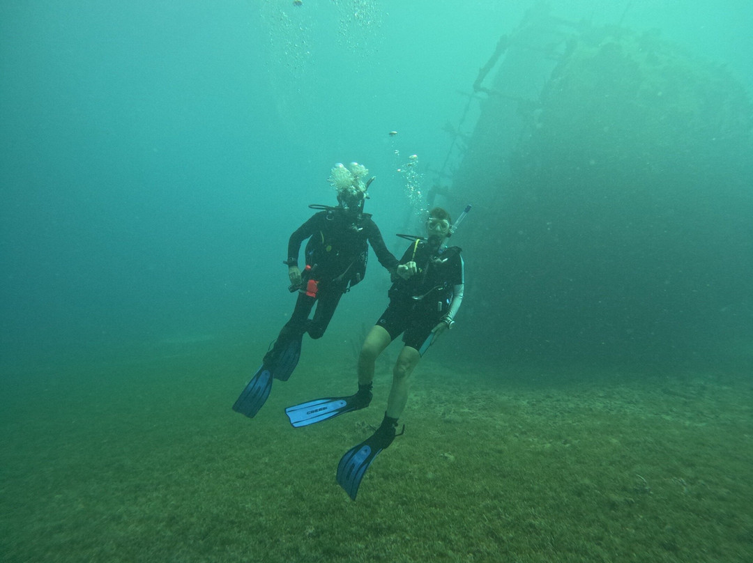 Palm Beach Divers-Noord必去景点