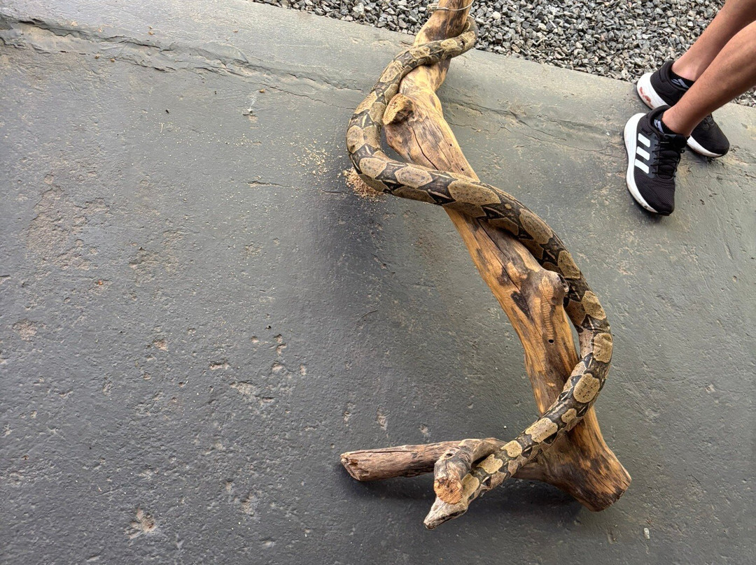 Aquario Natural-博尼图必去景点