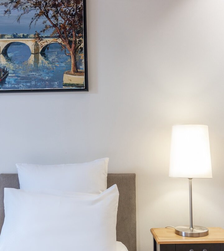 Hôtel de la Rouvenaz主图