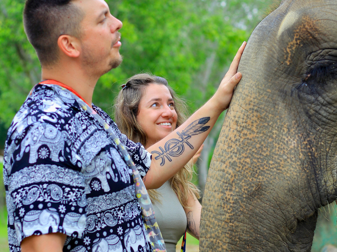 Kanta Elephant Sanctuary-清迈必去景点