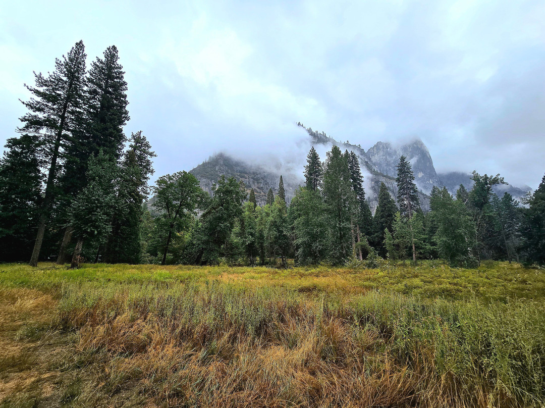 Cooks Meadow Loop-优胜美地国家公园必去景点