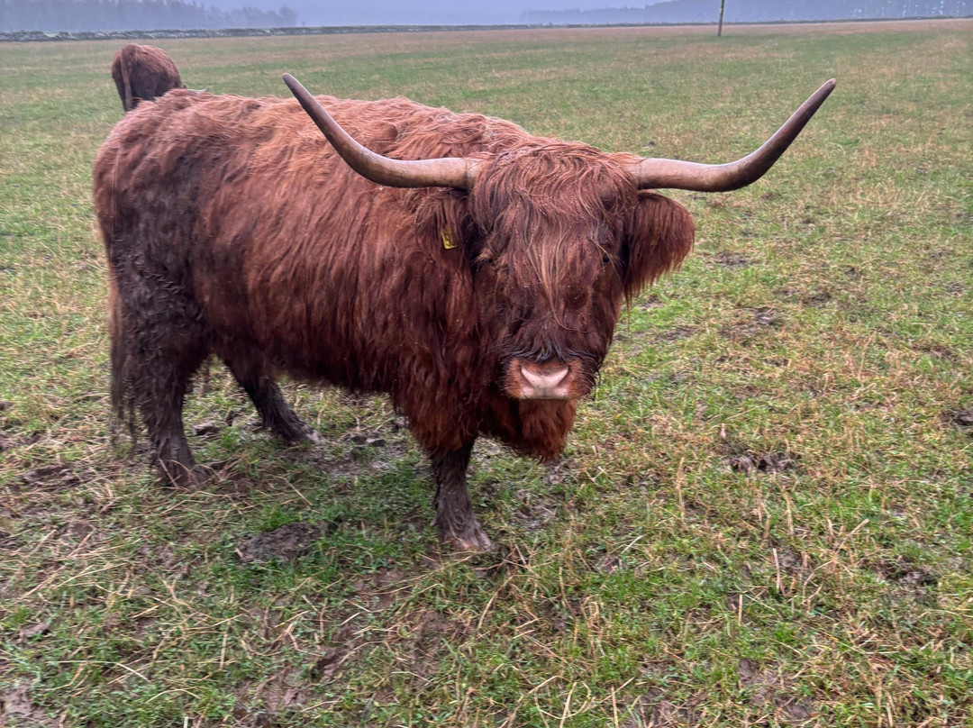 Newton Farm Holidays-Forfar必去景点