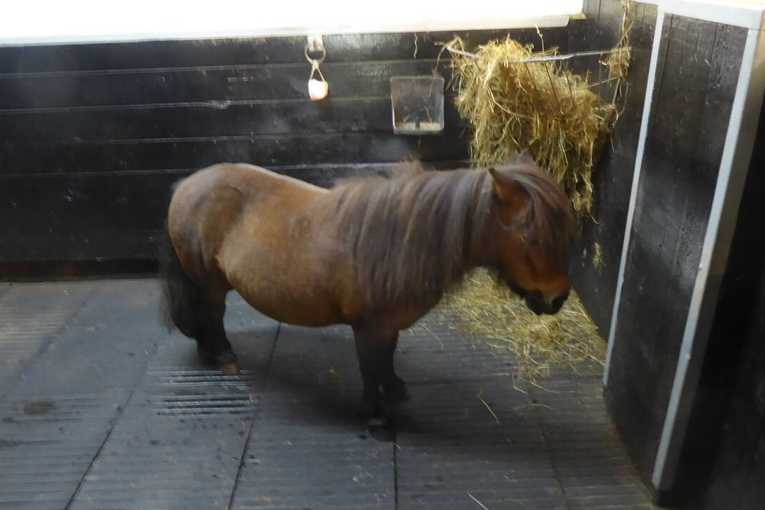The National Showcaves Centre for Wales-null必去景点